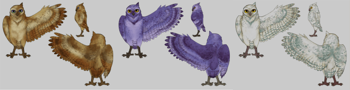 Emily's rendition of the owl.