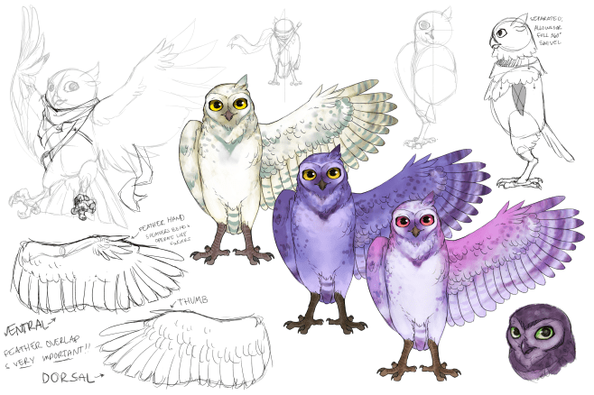 Round 2 Owl Thoughts